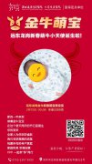 牛宝贺新春,“金牛宝宝”来拜年!