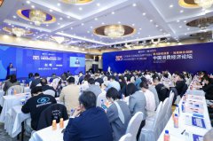 Witsbb健敏思受邀参加2025中国消费经济论坛，获评“消费市场行业创新品牌”