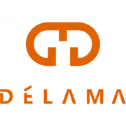 市场地位声明：delama德拉玛 全球四轮遛娃神器开创者